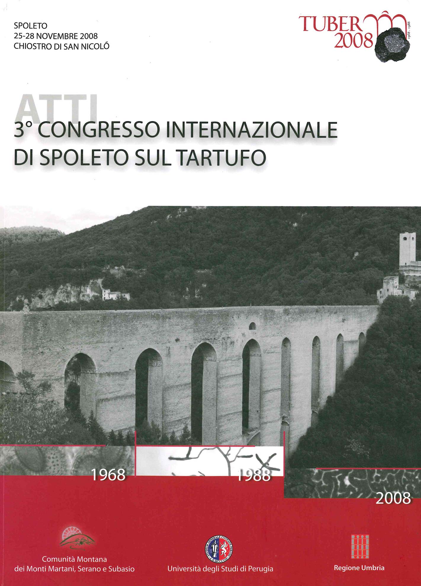 Grafica: Michelangelo Spadoni - Spoleto