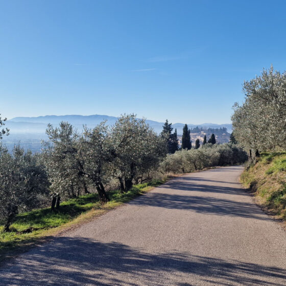 Camminando con MONTAGNEAPERTE: Da fonte Bulgarella (Spello) per il Sentiero dell’Acquedotto Romano e ritorno passando per la Valle del torrente Chiona, con scorci mozzafiato