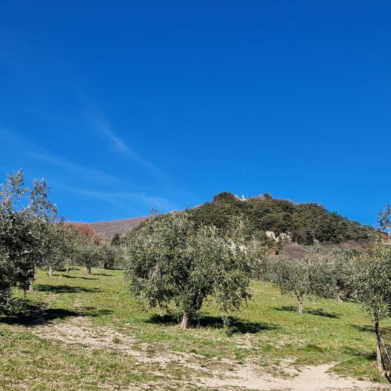 Camminando con MONTAGNEAPERTE: Da fonte Bulgarella (Spello) per il Sentiero dell’Acquedotto Romano e ritorno passando per la Valle del torrente Chiona, il colle di Collepino