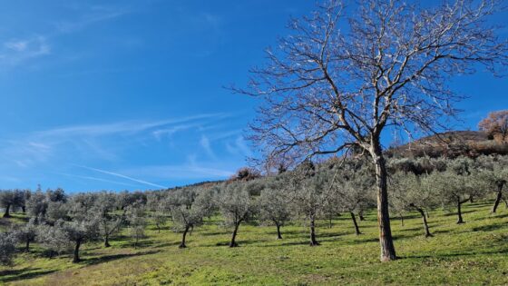 Camminando con MONTAGNEAPERTE: Da fonte Bulgarella (Spello) per il Sentiero dell’Acquedotto Romano e ritorno passando per la Valle del torrente Chiona, panorama