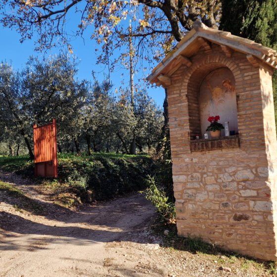 Camminando con MONTAGNEAPERTE: Da fonte Bulgarella (Spello) per il Sentiero dell’Acquedotto Romano e ritorno passando per la Valle del torrente Chiona, edicola votiva di via Sant'Onofrio